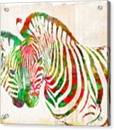 Zebra Lovin Acrylic Print