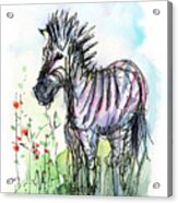 Zebra Painting Watercolor Sketch Acrylic Print