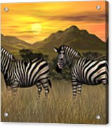 Zebra Sunset Acrylic Print