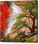Zion After The Flood Acrylic Print
