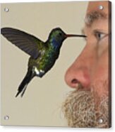 Zombie Hummingbird Attack Caught On Camera Acrylic Print