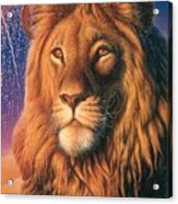 Zoofari Poster The Lion Acrylic Print