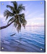 Amazing Beach With Palm Trees And Swing #1 Acrylic Print