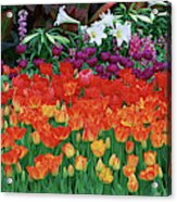 Close-up Of Flowers In A Garden #1 Acrylic Print