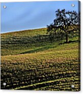 Green Rolling Hills Of Central #1 Acrylic Print