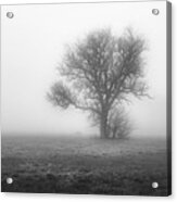 In The Fog And In The Middle Of The Fields #1 Acrylic Print