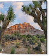 Joshua Tree And Cliffs, Red Rock Canyon State Park, California Acrylic Print