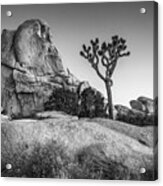 Joshua Tree And Intersection Rock #1 Acrylic Print