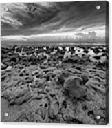 Low Tide #1 Acrylic Print