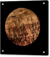 Moonlit Flight #1 Acrylic Print