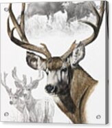 Mule Deer #1 Acrylic Print