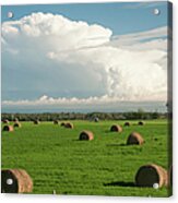 North Alberta Farmland With Hay Bales #1 Acrylic Print