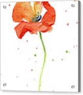 Red Poppy Flower #2 Acrylic Print