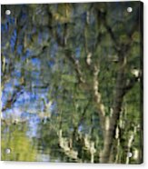 Reflecting Acrylic Print