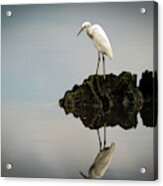 Reflection #1 Acrylic Print