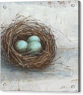 Rustic Bird Nest I #1 Acrylic Print
