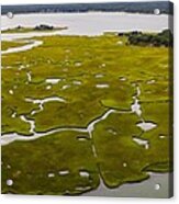 Salt Marshes And Estuaries Are Found #1 Acrylic Print