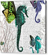 Seahorse Trio With Wings #1 Acrylic Print