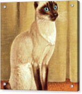 Siamese Cat #1 Acrylic Print