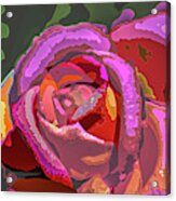 Smell The Color #1 Acrylic Print