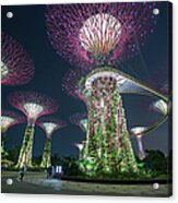 Supertrees In  Gardens By The Bay #1 Acrylic Print