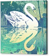 Swan #1 Acrylic Print