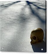 The Dead Of Winter #1 Acrylic Print