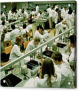 University Medical Students In Microbiology Lesson #1 Acrylic Print