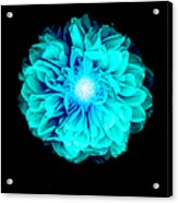 X-ray Like Image Of A Flower Acrylic Print