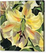 Yellow Lily #1 Acrylic Print