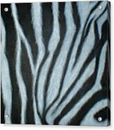 Zebra Eye Acrylic Print