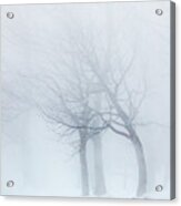 Whooper Swans On Frozen Lake Kussharo #14 Acrylic Print