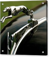 1940s Lincoln Greyhound V8 Mascot Acrylic Print