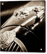 1964 Jaguar Mk2 Saloon Hood Ornament And Emblem-1421bscl Acrylic Print