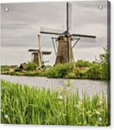 Kinderdijk  Holland Windmills #2 Acrylic Print