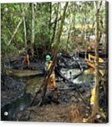 Oil Spill Damage Control In A Rainforest #2 Acrylic Print