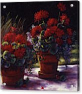 Red Geranium Pots Acrylic Print
