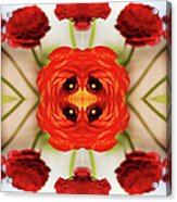 Ranunculus Flower #2 Acrylic Print