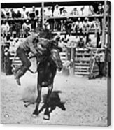 Wild Horse Auction And Rodeo #2 Acrylic Print