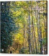 Views Along Virginia Creeper Trail During Autumn #20 Acrylic Print