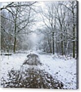 30/01/19  Rivington. Lower Barn. Arboretum Path. Acrylic Print