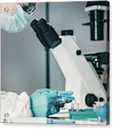 Microbiologist Working In Laboratory #4 Acrylic Print