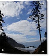 Silhouette Of Large Conifers On Coastal Headland #4 Acrylic Print