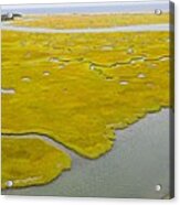 Salt Marshes And Estuaries Are Found #5 Acrylic Print
