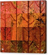 Swatches - Autumn Leaves Inspired By Gerhard Richter #5 Acrylic Print