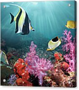 Coral Reef Scenery #58 Acrylic Print