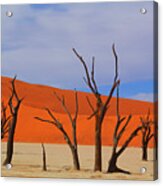 Dead Vlei Namib Desert #6 Acrylic Print