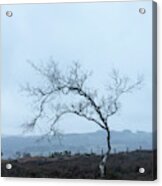 Moody Winter Landscape Image Of Skeletal Trees In Peak District  #6 Acrylic Print