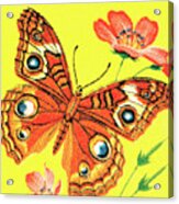 Butterfly #8 Acrylic Print