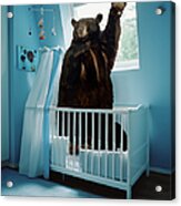A Bear Inside A Crib In A Blue Room Acrylic Print